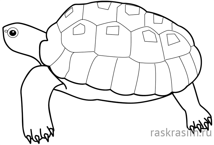 268.jpgДиснейБесплатные Раскраски