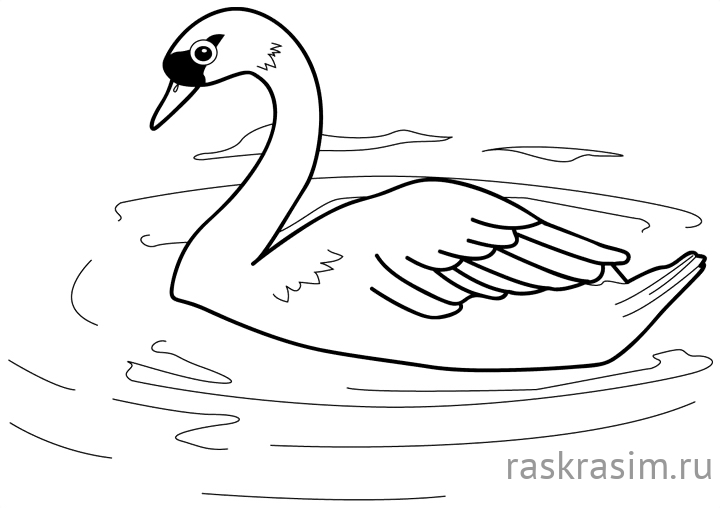 296.jpgДиснейБесплатные Раскраски