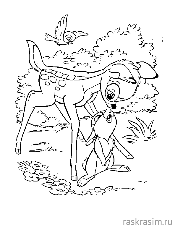 566.jpgДиснейБесплатные Раскраски