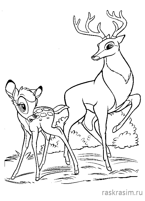 516.jpgДиснейБесплатные Раскраски