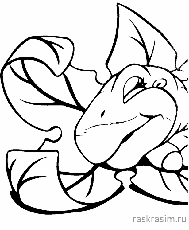 552.jpgДиснейБесплатные Раскраски