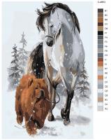 Картина по номерам, 40 x 60, Z-AB53