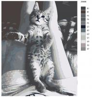 Картина по номерам, 72 x 90, Z6698