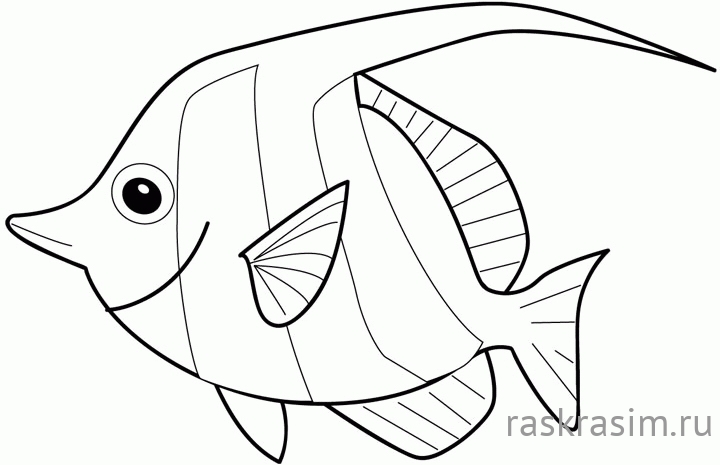 250.jpgДиснейБесплатные Раскраски