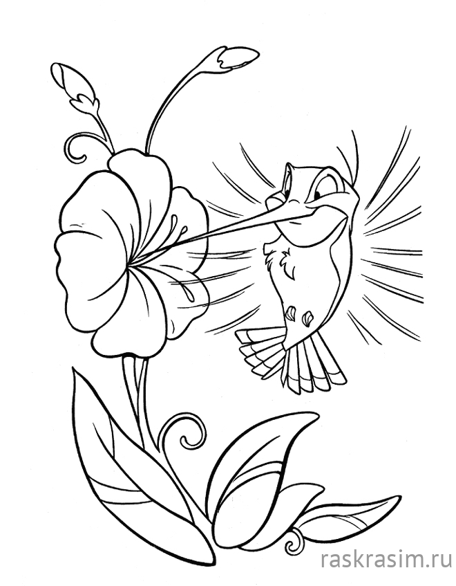 815.jpgДиснейБесплатные Раскраски