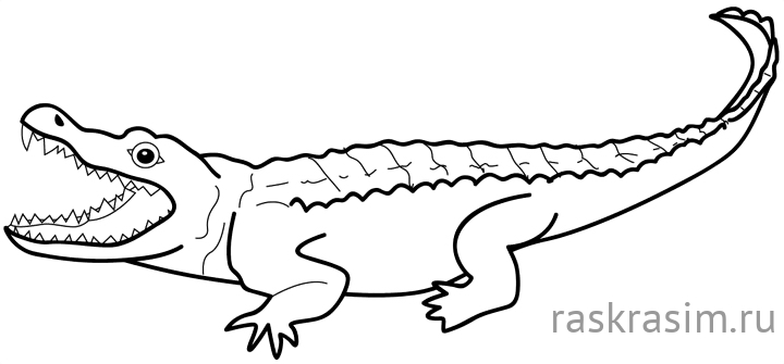 152.jpgДиснейБесплатные Раскраски