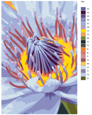 Картина по номерам, 48 x 72, F49