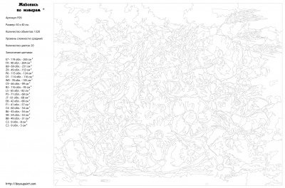 Картина по номерам, 40 x 50, F09
