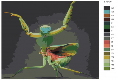 Картина по номерам, 40 x 50, Z-AB429