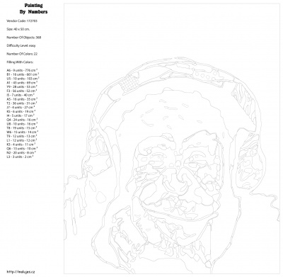 Картина по номерам, 40 x 50, KTMK-172703