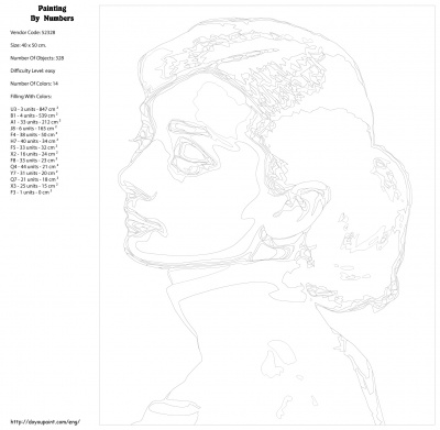 Картина по номерам, 40 x 50, KTMK-52328