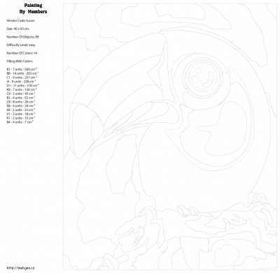 Картина по номерам, 40 x 50, KTMK-tucan