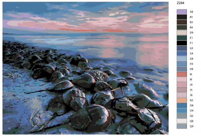 Картина по номерам, 100 x 125, Z-Z284