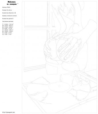 Картина по номерам, 40 x 60, PA205