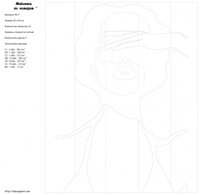 Картина по номерам, 40 x 50, PA17