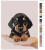 Картина по номерам, 30 x 40, NEGV-zlit090919V3-1-3040 Картина по номерам, 30 x 40, NEGV-zlit090919V3-1-3040