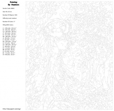 Картина по номерам, 40 x 50, KTMK-49820