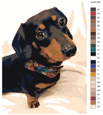 Картина по номерам, 45 x 60, ets500-30401