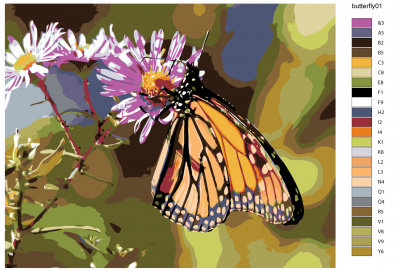 Картина по номерам, 48 x 60, KTMK-butterfly01