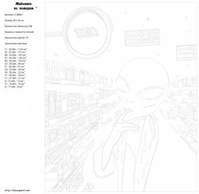 Картина по номерам, 40 x 50, Z-AB667