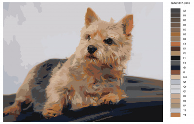 Картина по номерам, 30 x 40, zai501847-3040