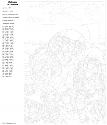 Картина по номерам, 40 x 60, A457