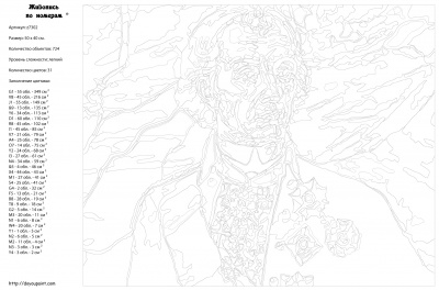 Картина по номерам, 40 x 50, z73021