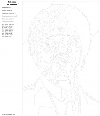 Картина по номерам, 40 x 60, RA325