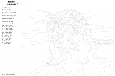 Картина по номерам, 40 x 50, Z-AB446