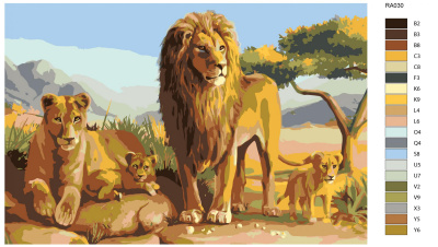 Картина по номерам, 40 x 60, RA030