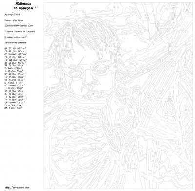 Картина по номерам, 40 x 50, Z-Z4833