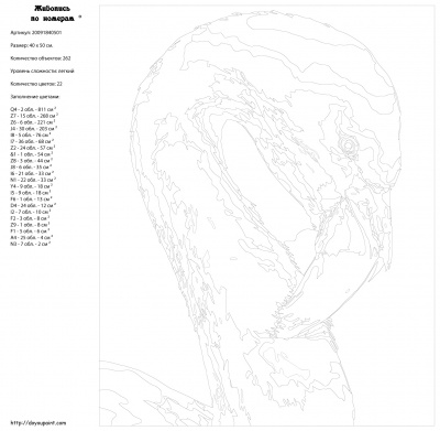 Картина по номерам, 40 x 50, PHTO-20091840501
