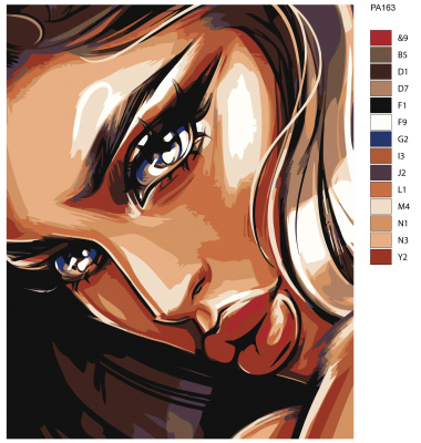 Картина по номерам, 40 x 50, PA163