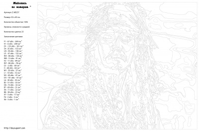 Картина по номерам, 40 x 50, Z-AB257
