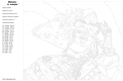 Картина по номерам, 40 x 50, RA328