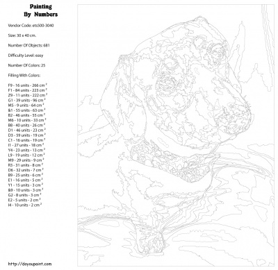 Картина по номерам, 30 x 40, ets500-30401