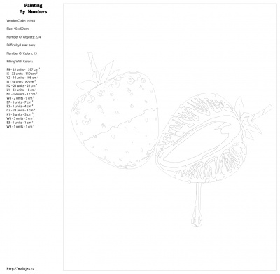Картина по номерам, 40 x 50, KTMK-14543