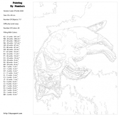 Картина по номерам, 30 x 40, ETS246-3040