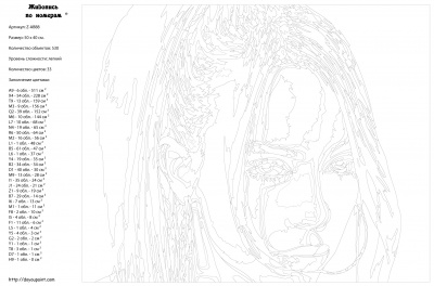 Картина по номерам, 40 x 50, Z-AB88