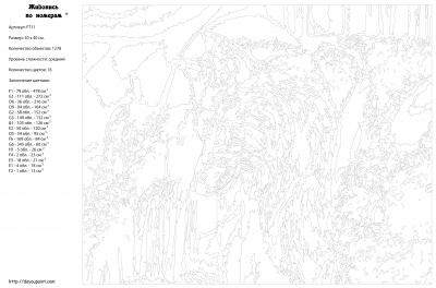 Картина по номерам, 40 x 50, FT11
