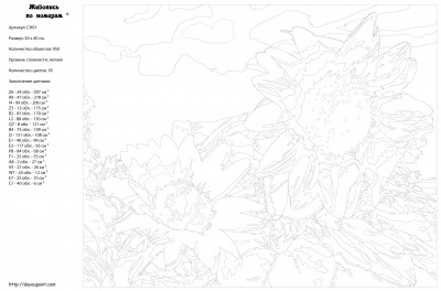 Картина по номерам, 40 x 50, CH01
