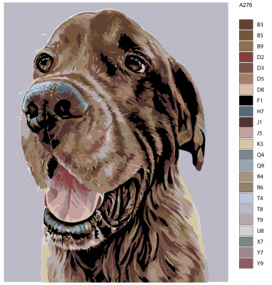 Картина по номерам, 48 x 60, A276