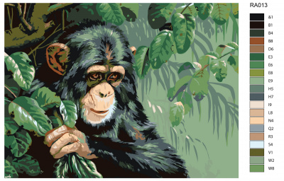 Картина по номерам, 36 x 48, RA013