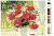 Картина по номерам, 80 x 100, KTMK-16609