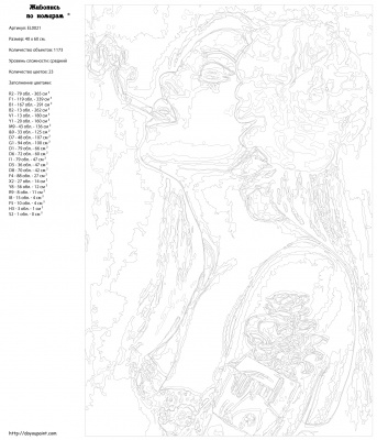 Картина по номерам, 40 x 60, EL002