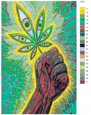 Картина по номерам, 60 x 90, FU21