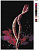 Картина по номерам, 72 x 108, RO165