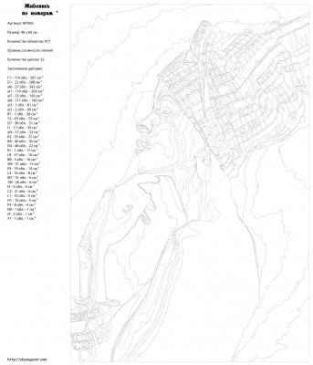 Картина по номерам, 40 x 60, MT006