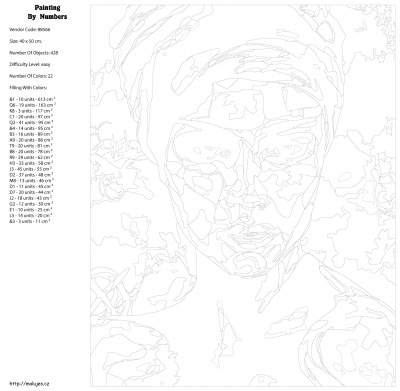 Картина по номерам, 40 x 50, KTMK-88566