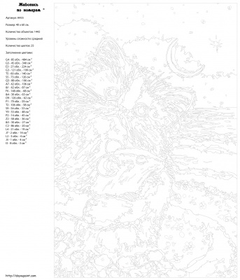 Картина по номерам, 40 x 60, A455